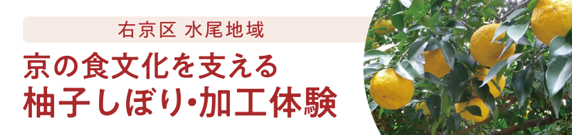 右京区 水尾地域 京の食文化を支える柚子しぼり・加工体験